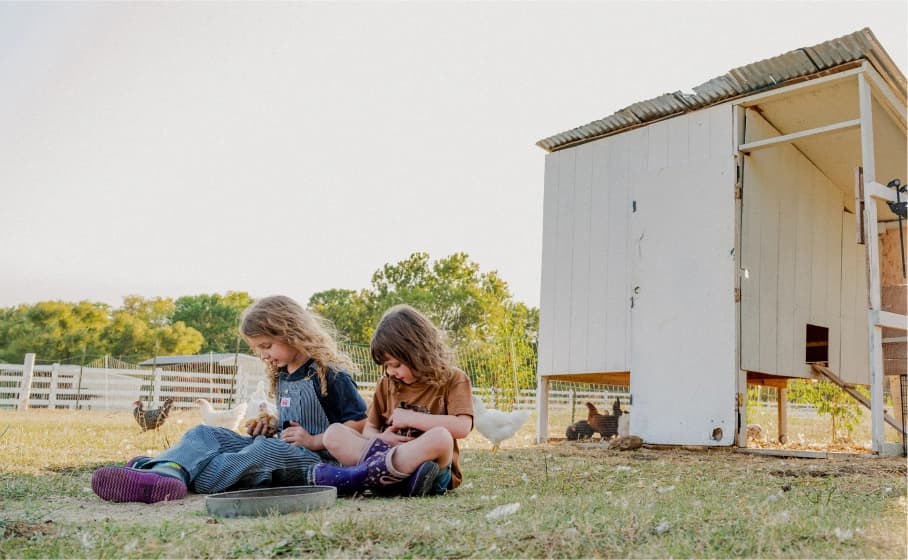 Little girls playing with chickens