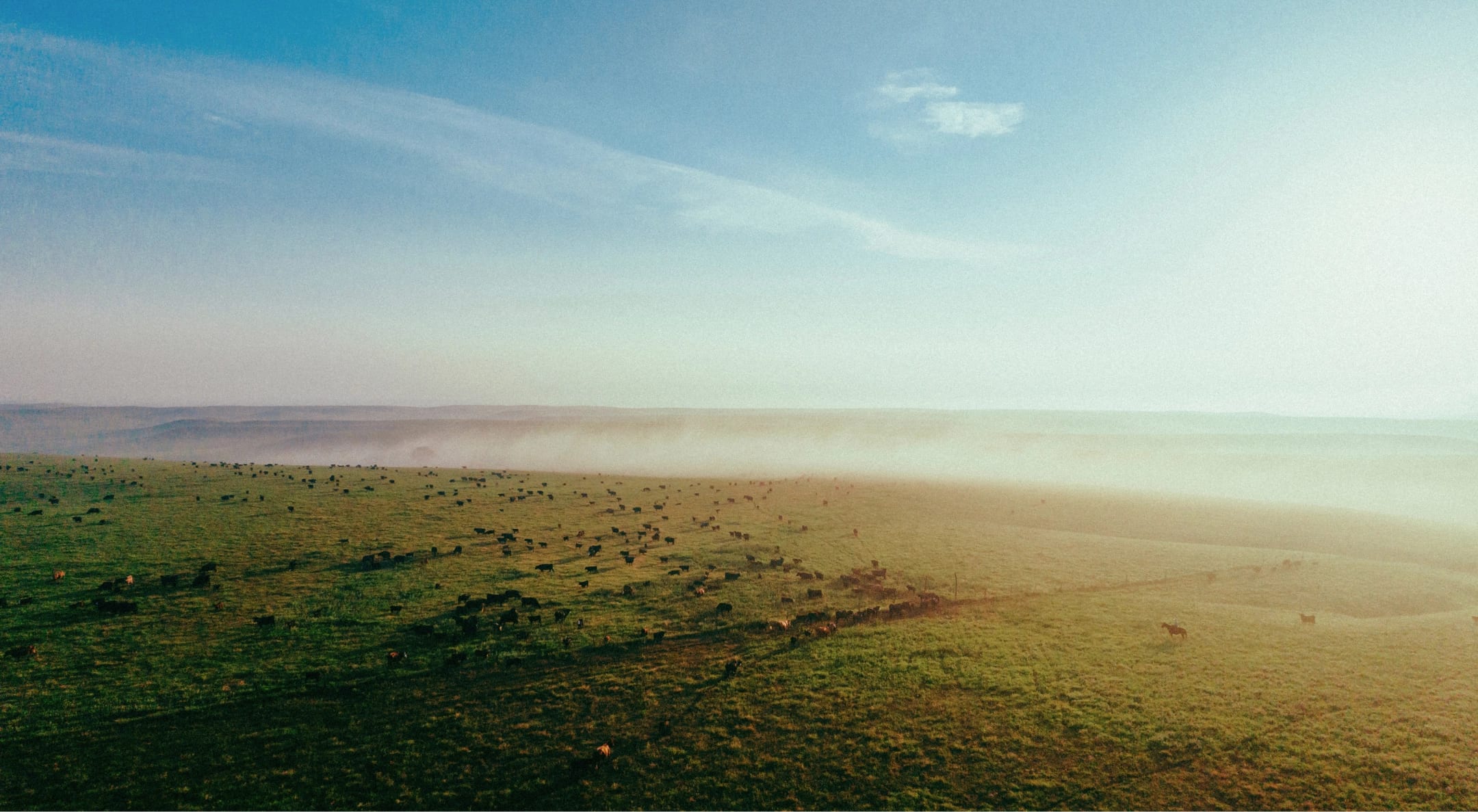 Open Pasture