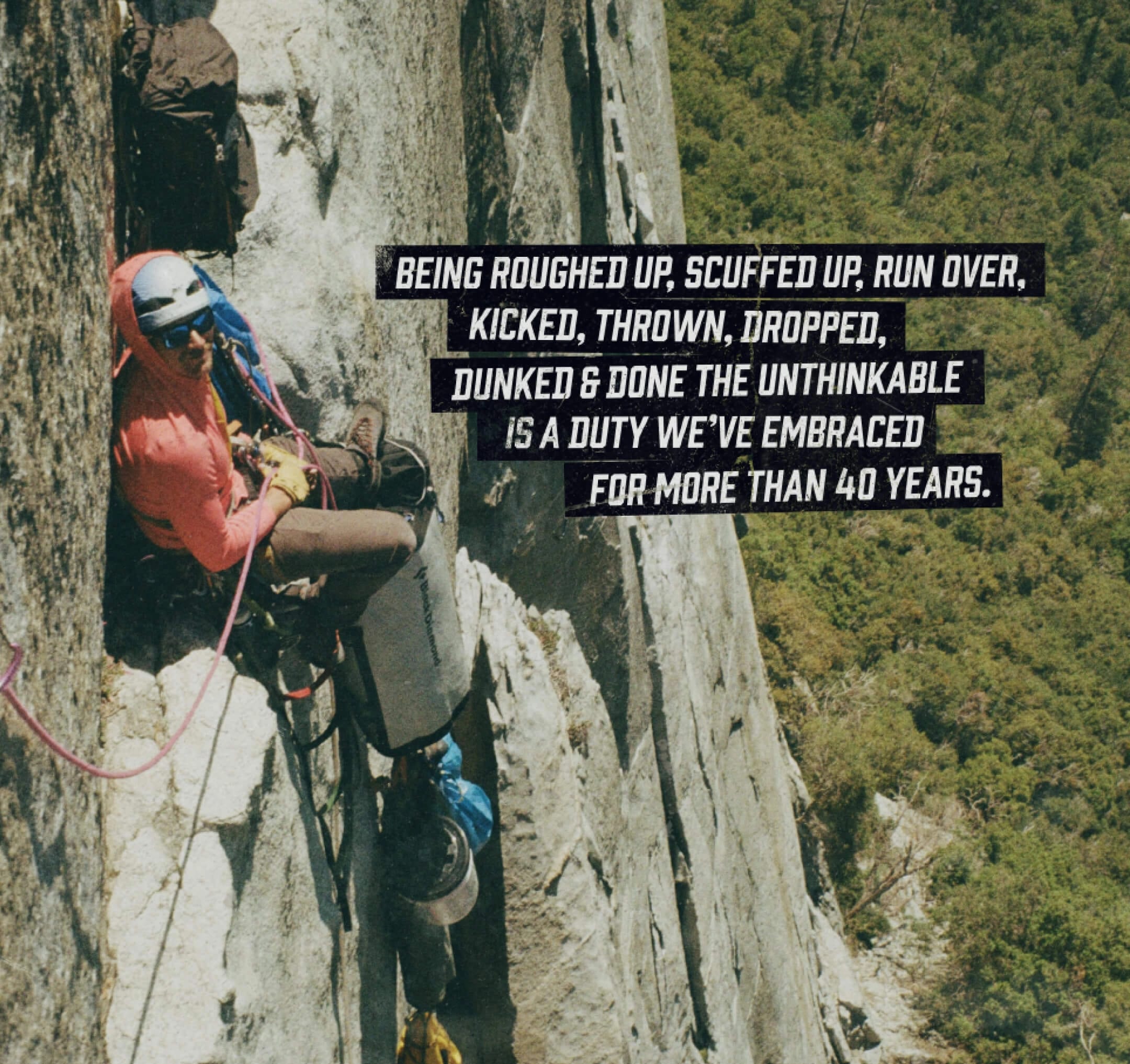 Pelican side of a mountain graphic